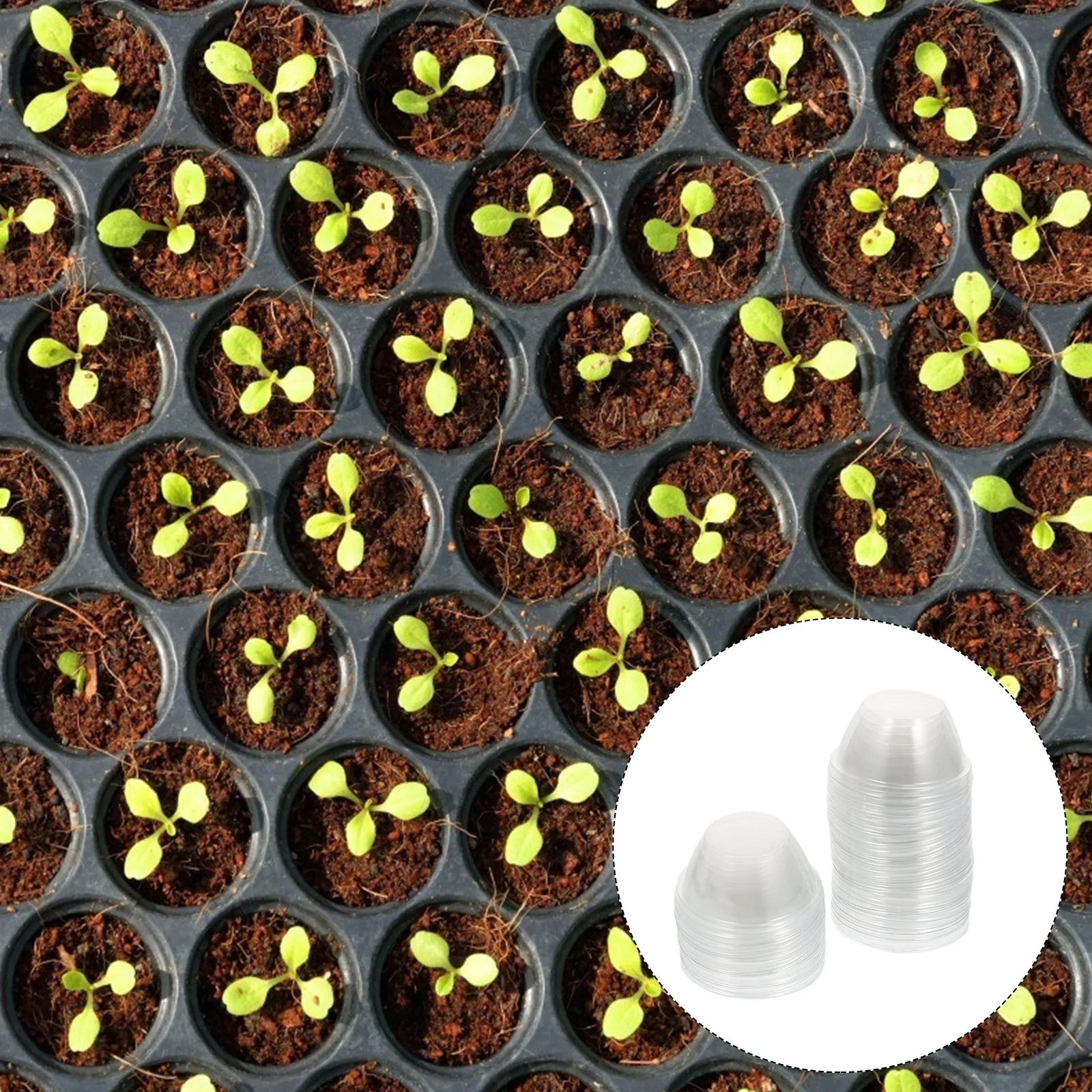

50Pcs Transparent Plastic Plant Covers Heat Insulation Frost Protection Hydroponic Moisturizing Planting Supplies Nursing Lids