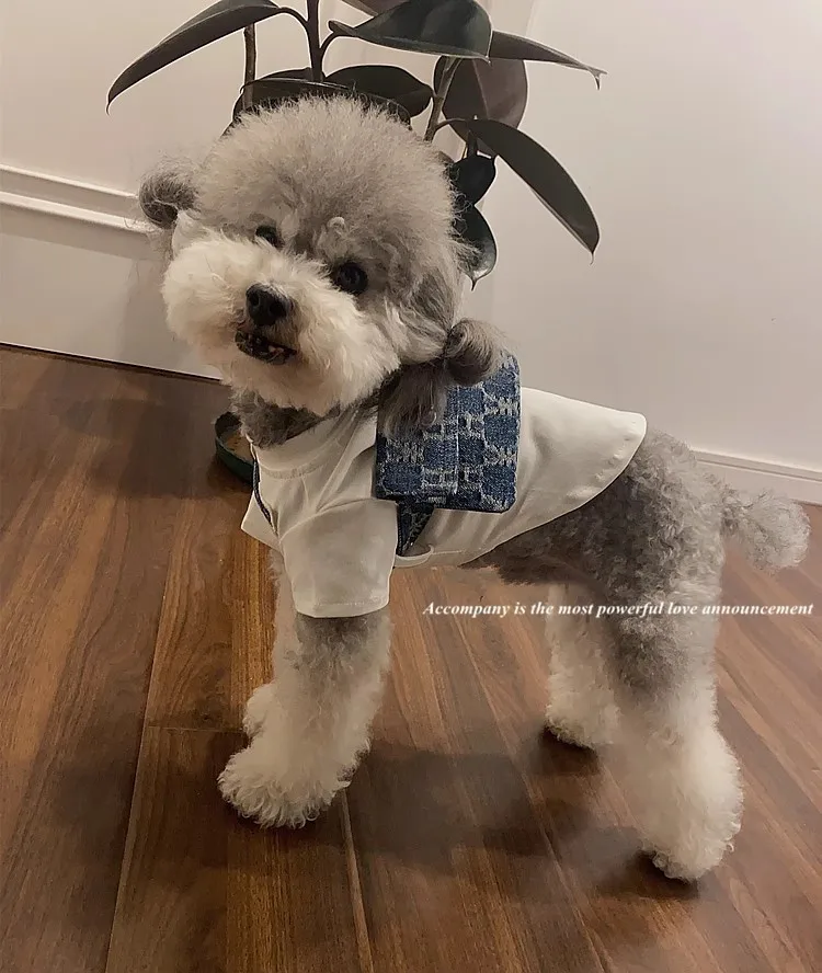 Trendy Design Cartoon Cute Print Pet T-Shirt With Snack Bag Fashionable Dog Clothing Set