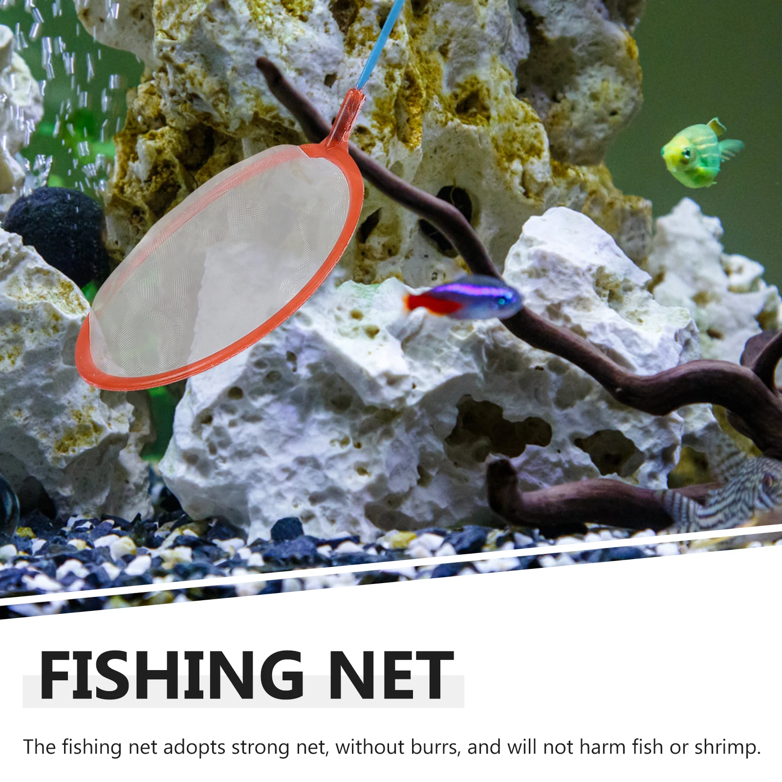 

10 Pcs Xiaolao.com Fish Nets Fishing Aquarium for Aquariums Stainless Steel Tank
