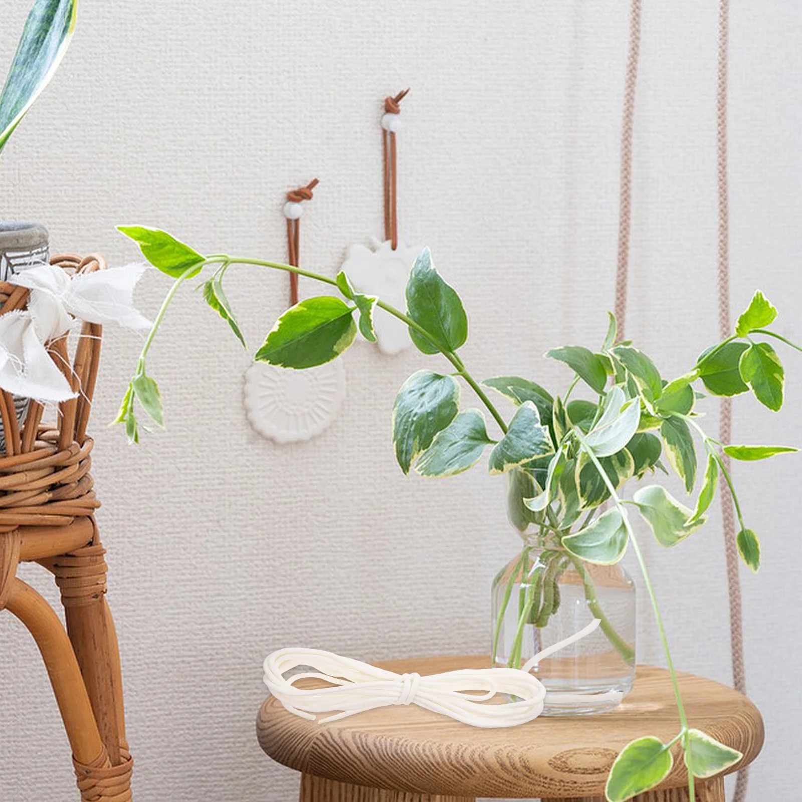 

Automatic Watering Cotton Rope Absorbent Plant Wick Cord Hydroponic Potted Supplies Moisture Storage Durable Use Flower Pot