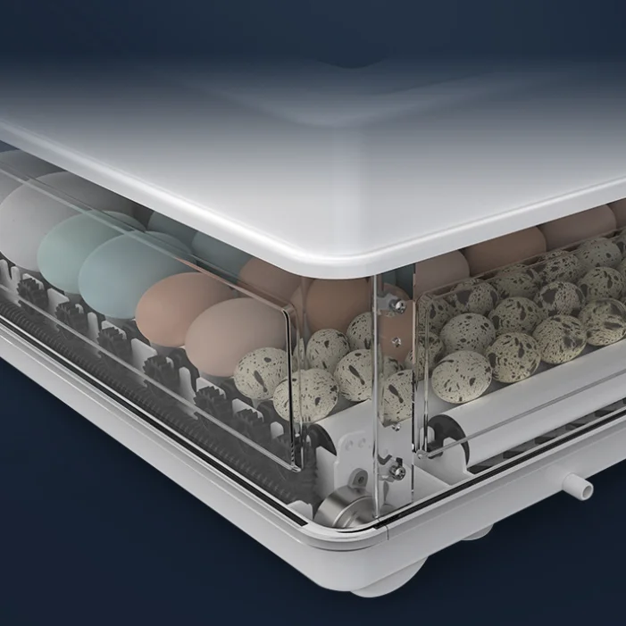 Weiwei Small Household Multifunctional Egg Incubator for Chicken Duck Turkey Ostrich Pigeon Eggs-New 220V High Hatching Rate