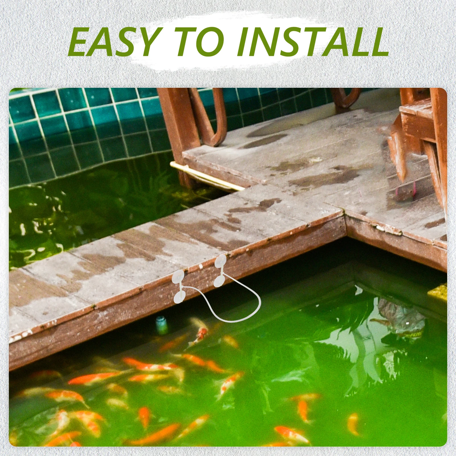 

1pcs Floating Plant Fence Fish Tank Feeding Ring Aquarium Plants Separator Plastic Durable Sturdy Reusable Tool For Isolating