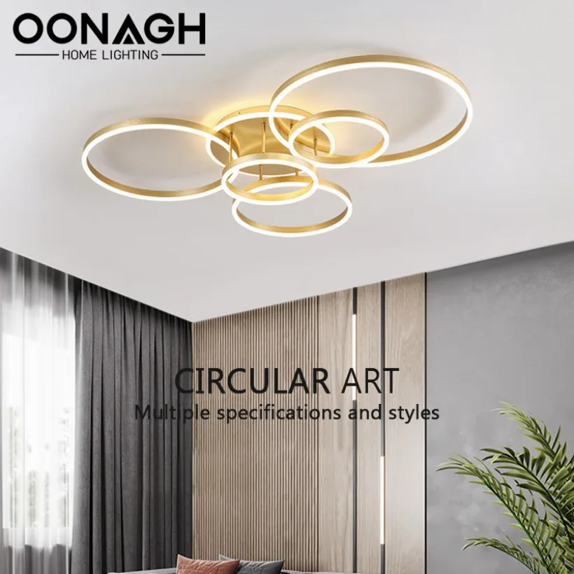 

Modern LED Ceiling Light Ring Combination Dimmable Home Pendant Light Living Room Bedroom Dining Room Indoor Home Lighting