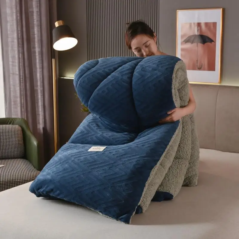 Thickened Lamb Velvet Blanket Double-Sided Milk Velvet Warm Cotton Blanket Dormitory Single Bed Core Spring Autumn Winter Quilt