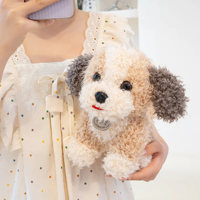 23 cm mooie teddyhond knuffels met krullend haar, zacht knuffeldier, cadeau voor alle leeftijden