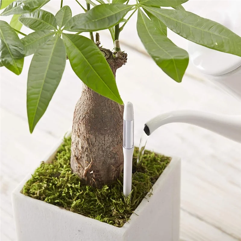 ABKO-Cuidado de plantas internas: 5 sensores de umidade do solo aquamétrico para plantas em vasos, médio