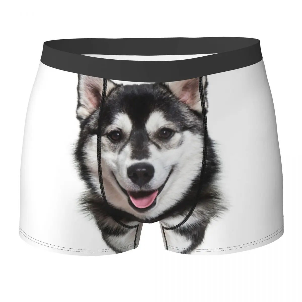 

Нижнее белье для собак Pomsky, мужские трусы с принтом, забавные шорты-боксеры, шорты высокого качества, большие размеры 2XL