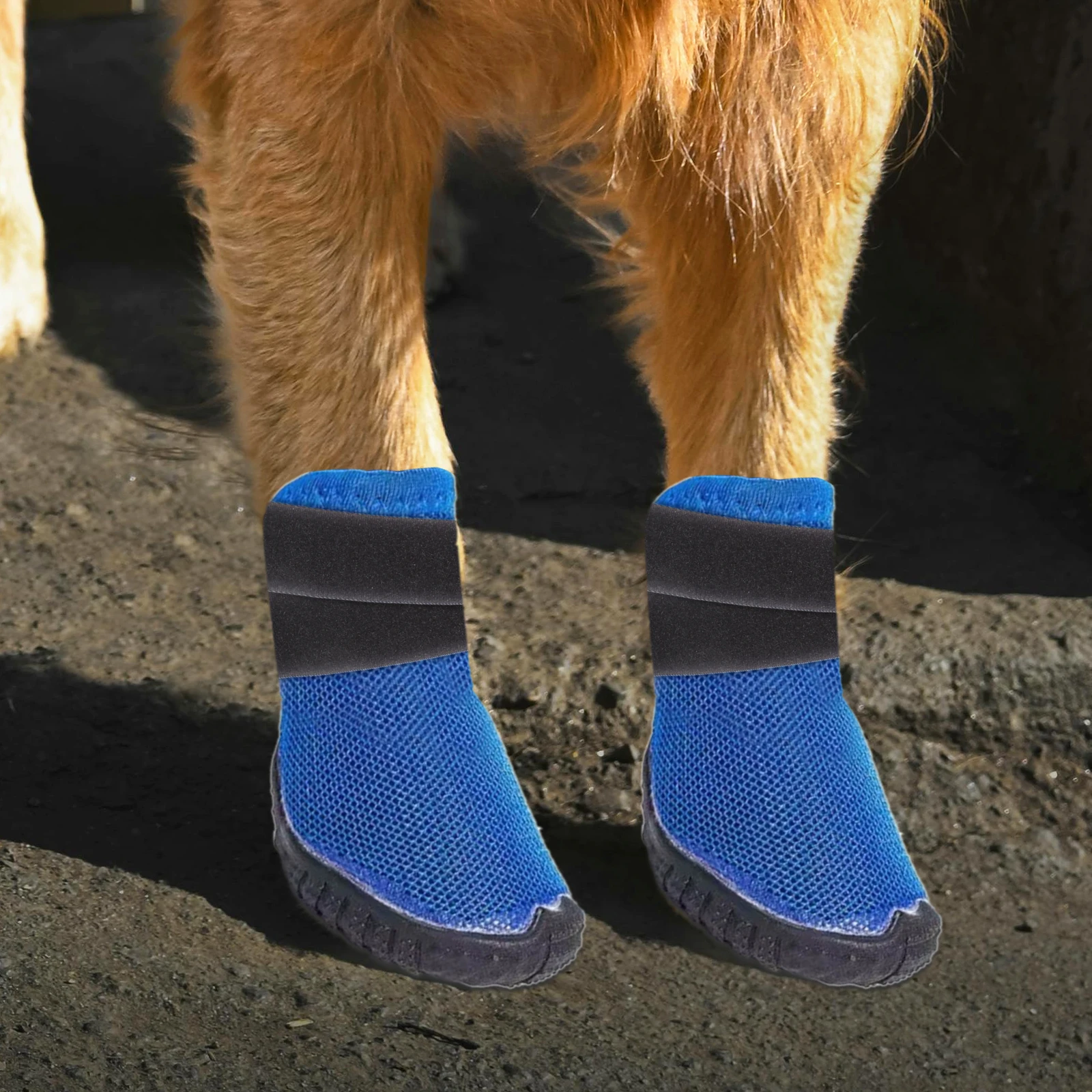 

10 Pcs Rain Boots Socks Patch Paw Anti Slip Straps Dog Bootie Accessories Animal Footwear Fasteners Polyester