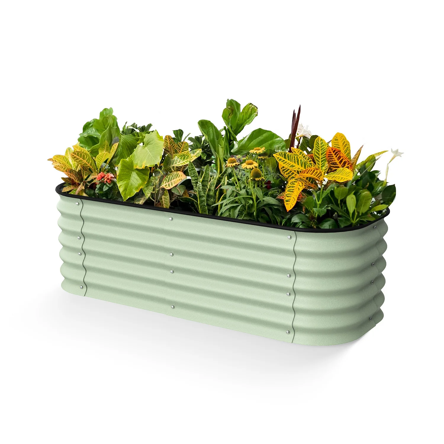 

Modern design eco-friendly organic cauliflower planting bed galvanized steel dolomite vegetable garden bed flower pot