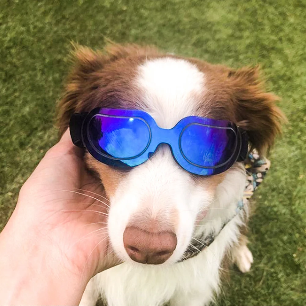 

Funny Colorful Pet Glasses for Dog Blue Lightweight Durable Dog Sunglasses Party Accessory Pet Glasses