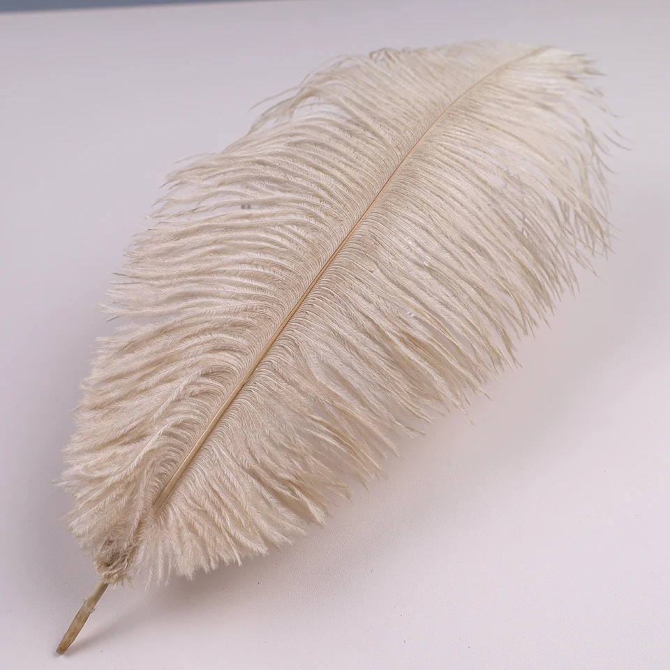 נוצות יען טבעיות לחדרנית