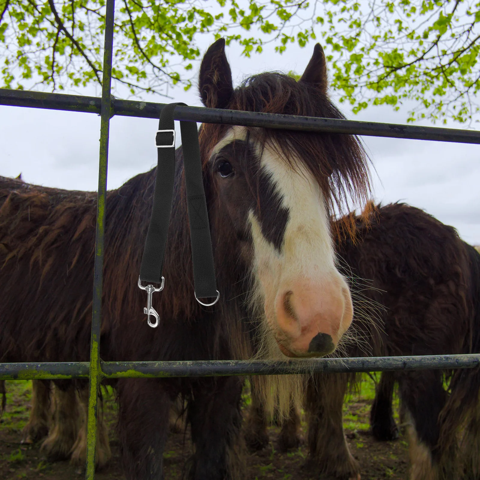 สายรัดถังน้ำม้า 3 ชิ้น ปรับได้ ทำจากไนลอน สำหรับแขวนถังอาหารและน้ำ ใช้ในคอกม้า โรงม้า อุปกรณ์ทดแทนได้