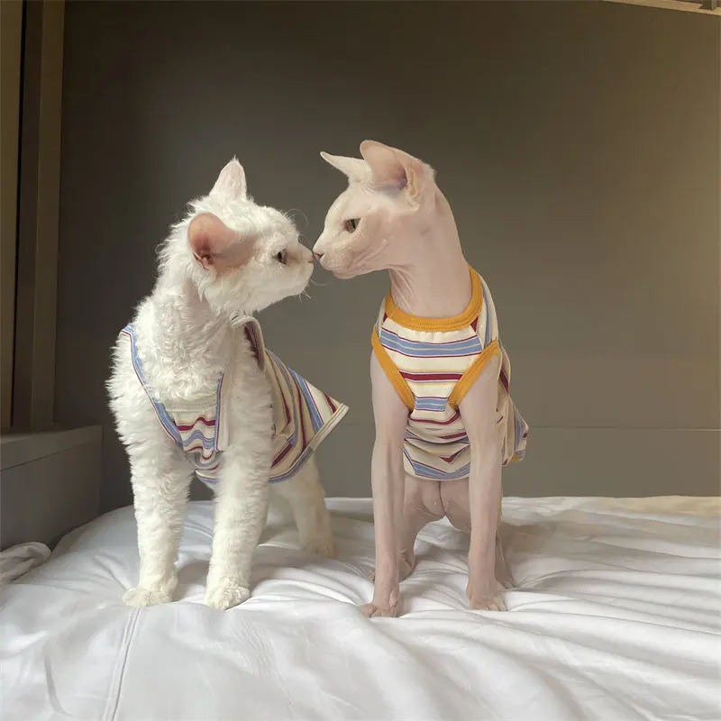 Camiseta de verano para gatos sin pelo - Devon Rex y Sphynx - imagen 5