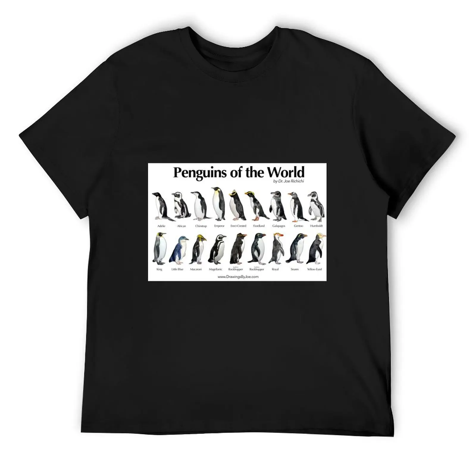 

Penguins of the World T-Shirt baggy shirts summer 2025 Clothing T-shirts oversize cotton t shirt men
