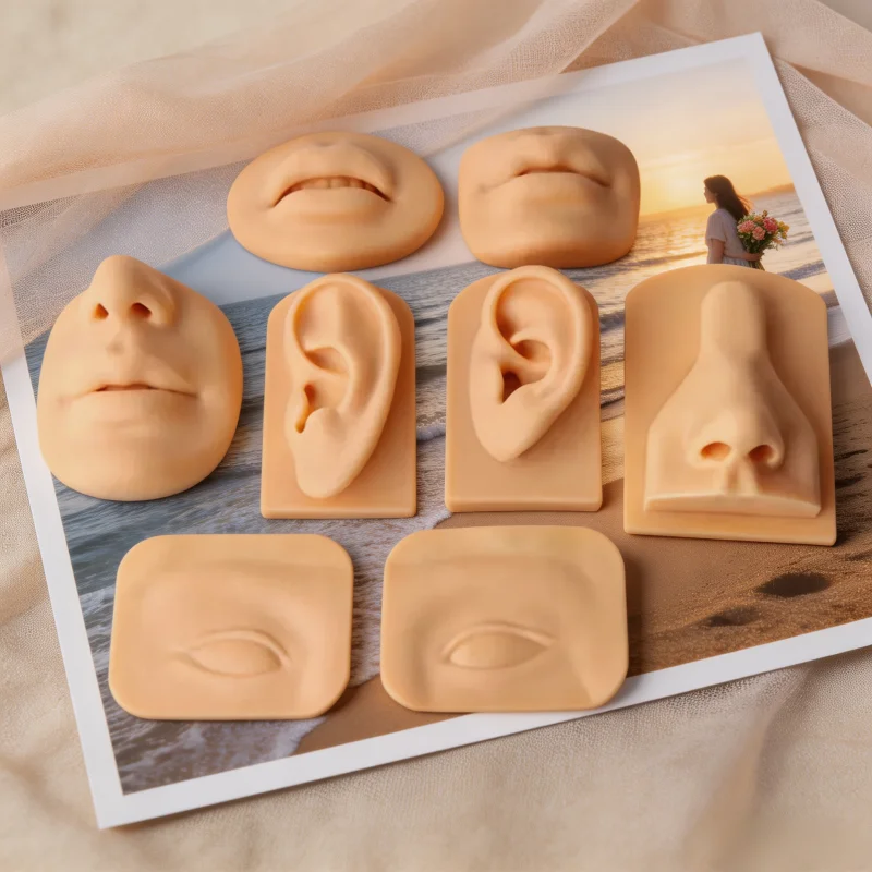 Human Body Model Silicone Eye Ear Nose Mouth Model Practice Body Jewelry Display Piercing Tool Earring Display Tool Home Decor