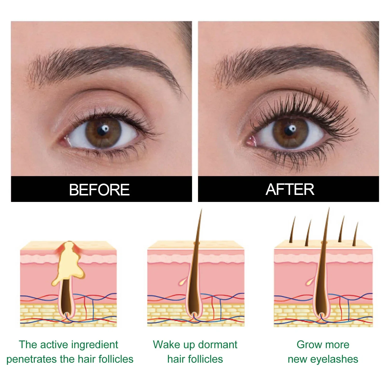 Siero per ciglia da 30 ml Nutre e rafforzare la cura per mascara per ciglia per extension ciglia sparse/corte/frágli