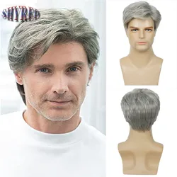 Short Gray White Wig Men Natural Fluffy Curly Fake Hair Cosplay Costume Synthetic Mens Wig for Male Guy