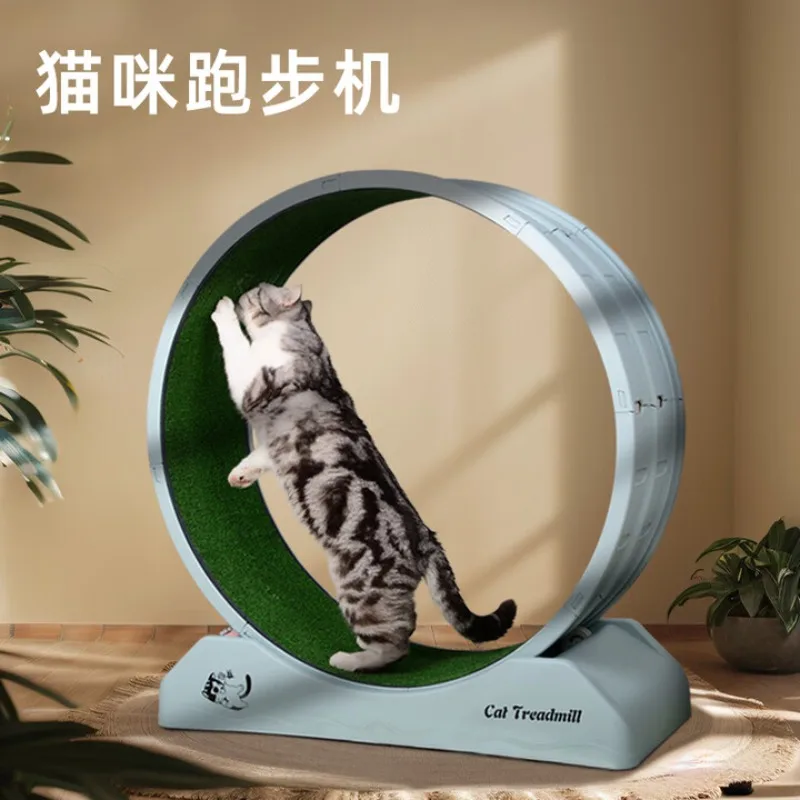 

Cat Treadmill Cat Rack Sports Pet Fitness Silent Roller Cat Wheel