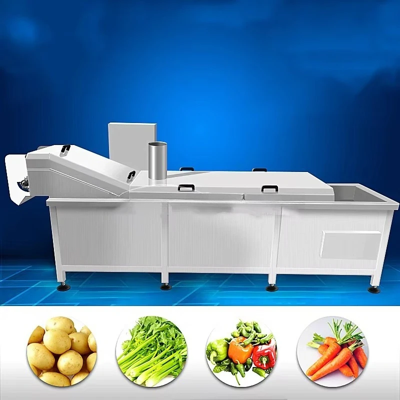 Continuous Blanching Machine FL Custom Wholesale Industrial Hot Selling For Fruit Vegetable Noodle Cooking Scalding Boiling