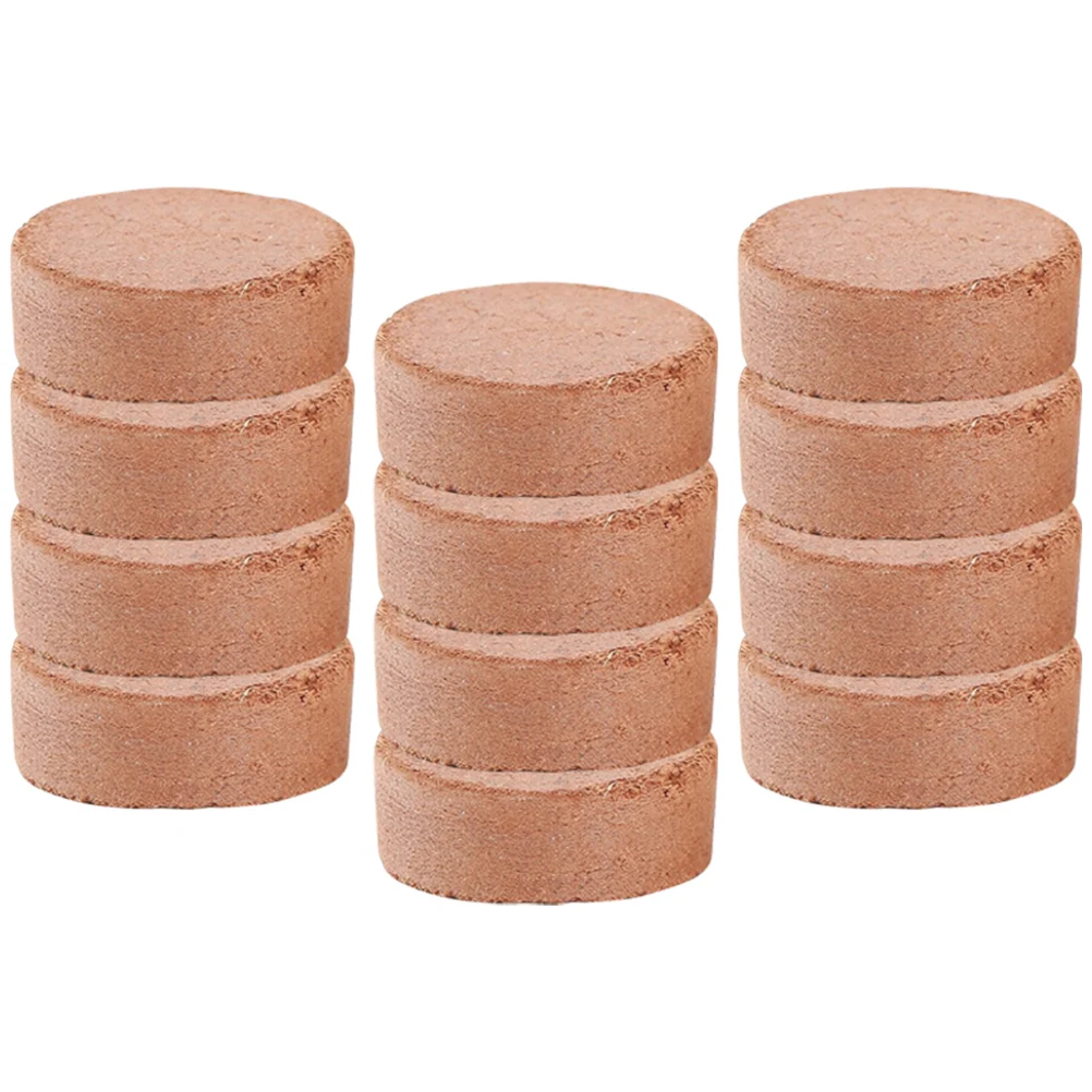 60pcs 코코넛 겨 묘목 블록 실내 실외 식물을위한 작은 크기의 영양 토양 선인장 다육 이식