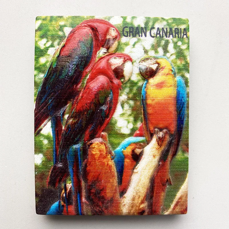 Gran Canaria Spanish parrot tourist souvenirs 3D stereo refrigerator sticker Home decoration items collection craft gifts