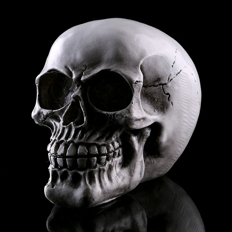 Home Head Resin Halloween Skull Prank Gift eBay