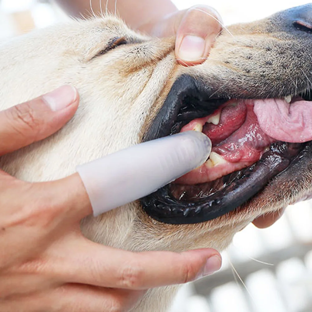 

Finger Silicone Dog Toothbrush Soft Puppy Teeth Cleaning Tool Effective Gum Care Pet Oral Cleaning Dental Tool Supply