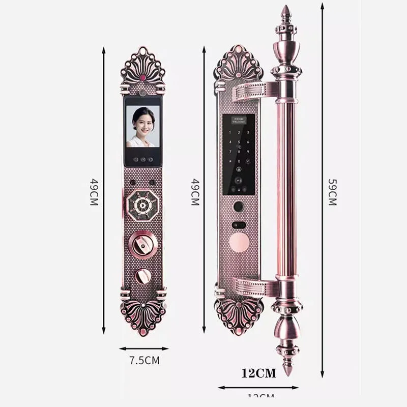 Waterproof  Wireless 3D Face & Fingerprint Recognition Smart Door Lock Zinc Alloy IC Card Wood Door App Network Brass Door Key view 5