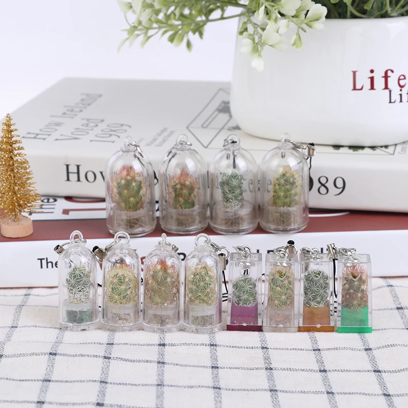 DIY Cactus Miniature Succulent Cactus Terrarium Wearable Necklace Live Succulent Plant Pendant Random Style