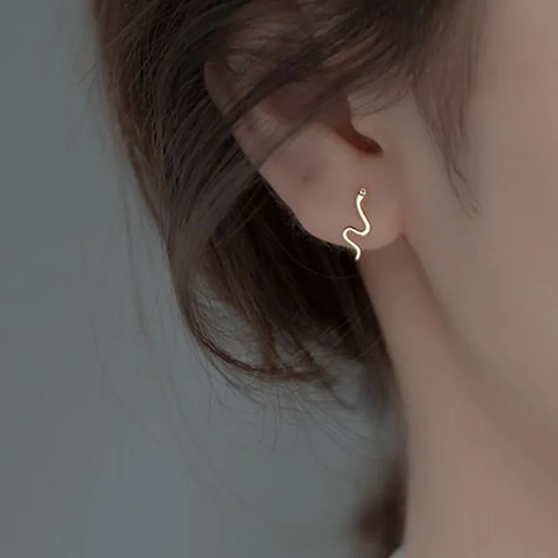 

925 Sterling Silver Snake Piercing Stud Earrings For Women Ladies Engagement Luxury Jewelry Accessories Jewellery Money 925