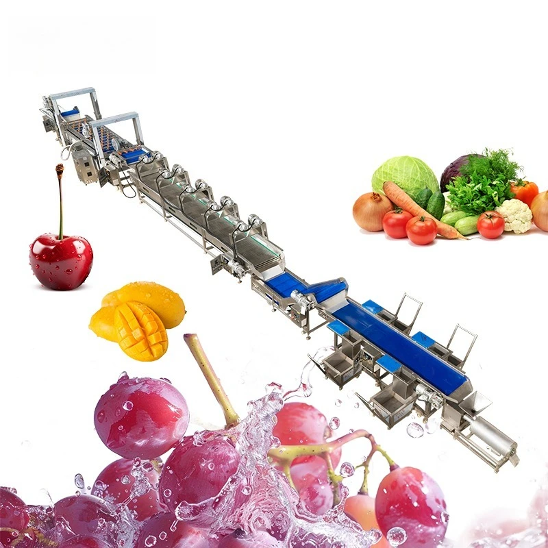 Fully Automatic Bubble Washing Line: Fruit and Vegetable Cleaning and Pesticide Removal Processing Equipment