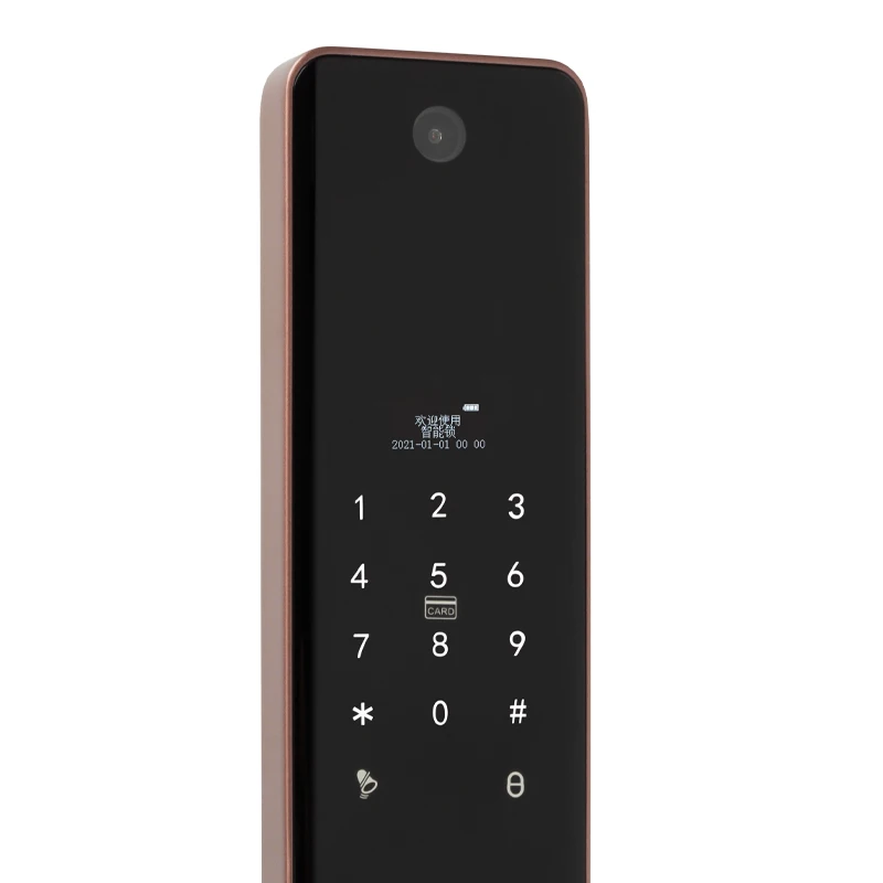 Full Automatic Real Time Video Intercom Tuya Smart Wifi Digital Door Lock Anti-theft Camera Digital Keyless Smart Lock