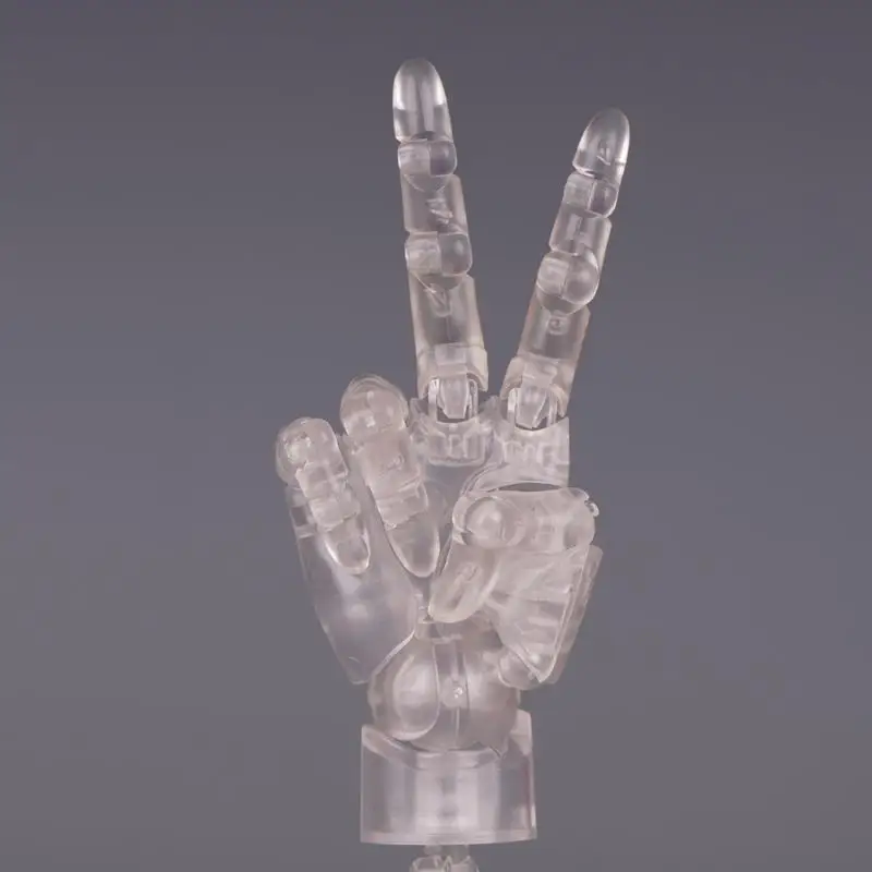 1:2 Scale Human Hand Model Mini Size Twisted Egg Design Articulated Action Figure With Posable Fingers Movable Joints