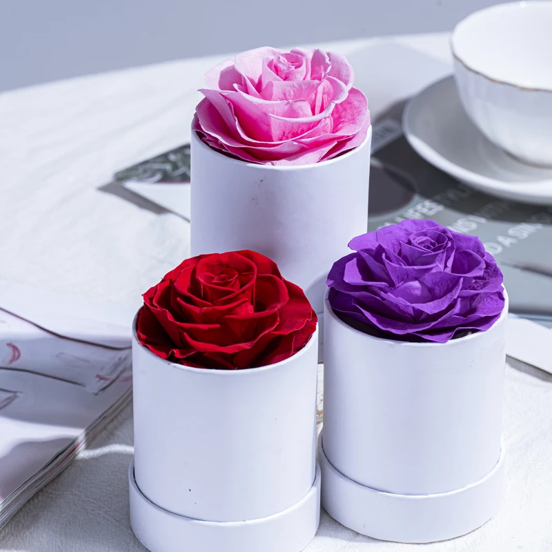 

Natural Eternal Rose Round White Hugging Bucket Gift Box, Home Decoration, Holiday Party, Valentine's Day Gift