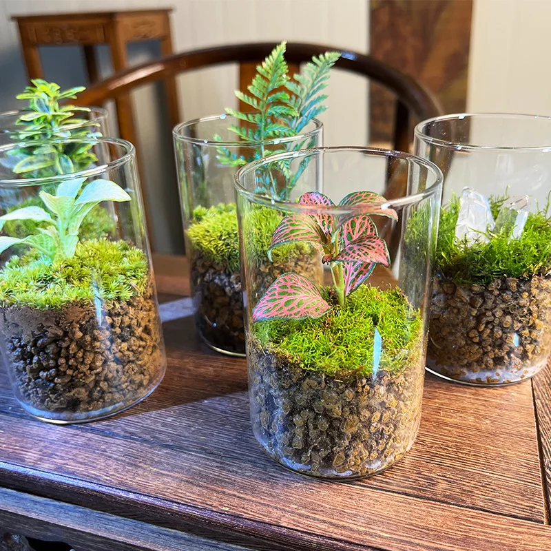 Glass Cylinder Vases Set 5