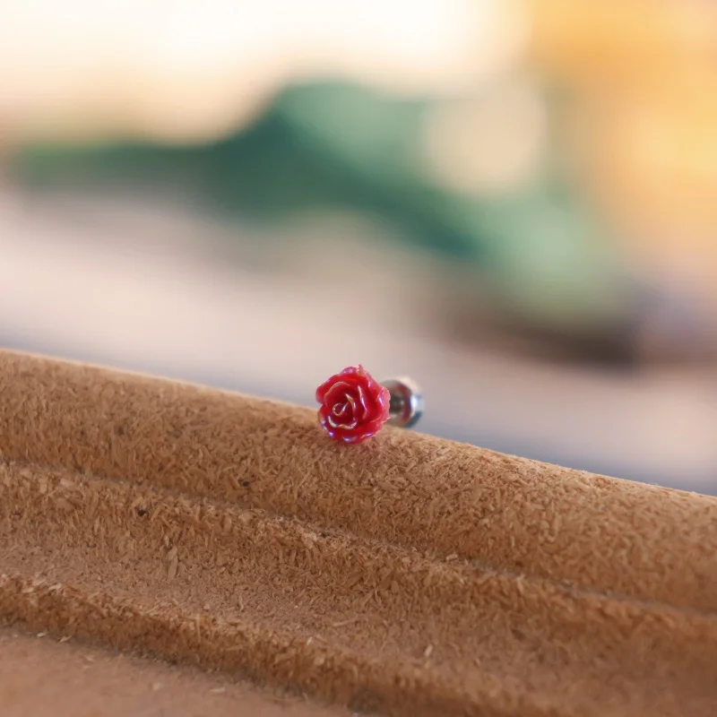 1-piece set of red resin rose ear studs, elegant retro style, fashionable and versatile for women, exquisite earrings