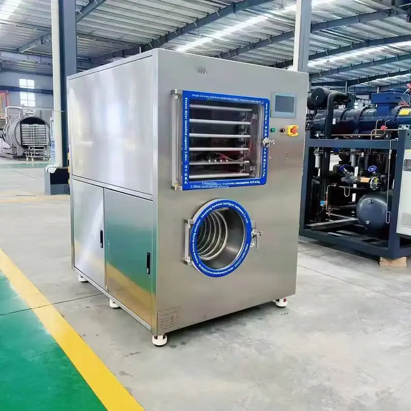 

Factory Industrial Freeze Dryer Freeze-dryer Mini Freeze Dryer