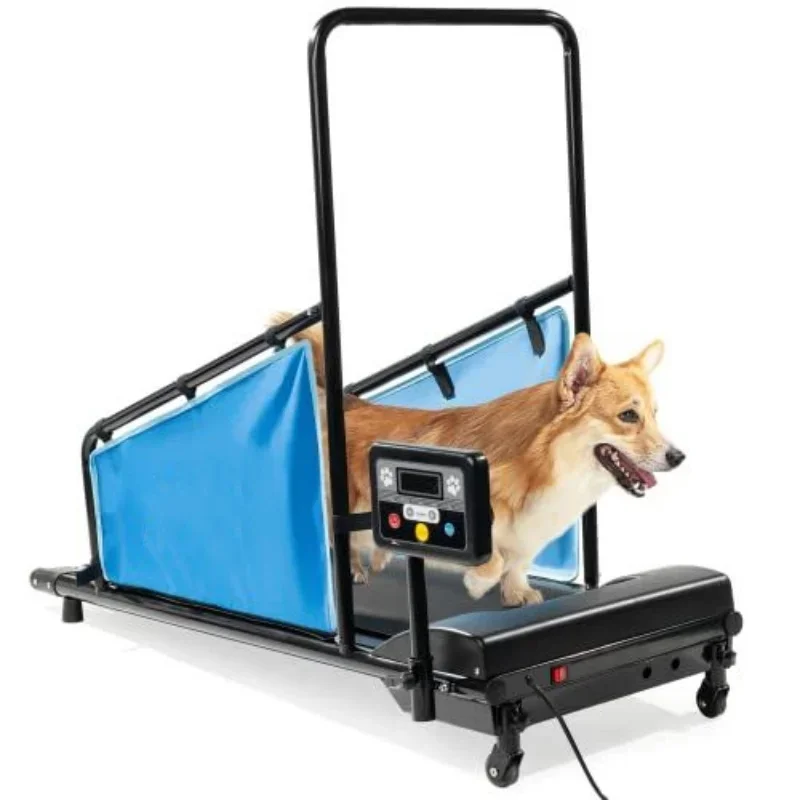 Factory Direct High Quality Puppy Treadmill Fully Automatic Rehabilitation