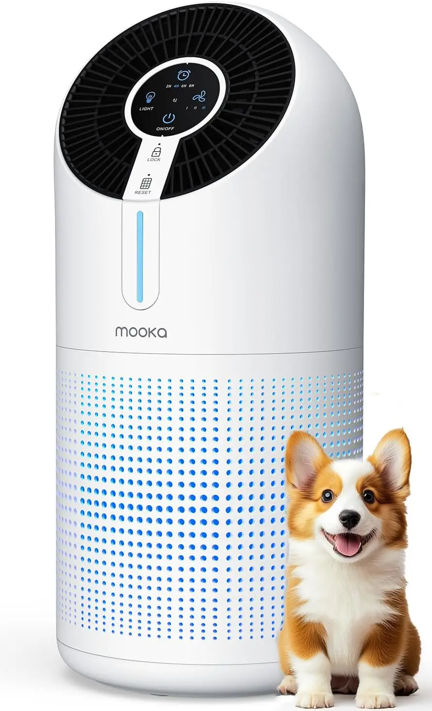Air Purifiers For H… - image