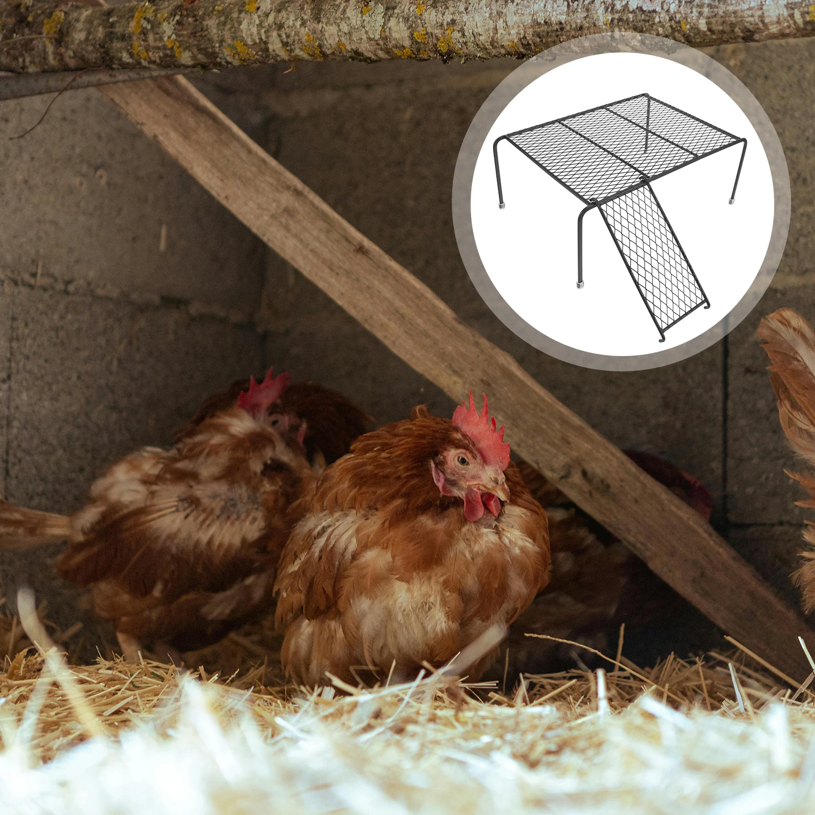 

Rutin Chicken Platform Pet Raising Shelf Durable Iron Wire Cage Stand Hollow Farmhouse Coop Rack For Small Pets Exercise
