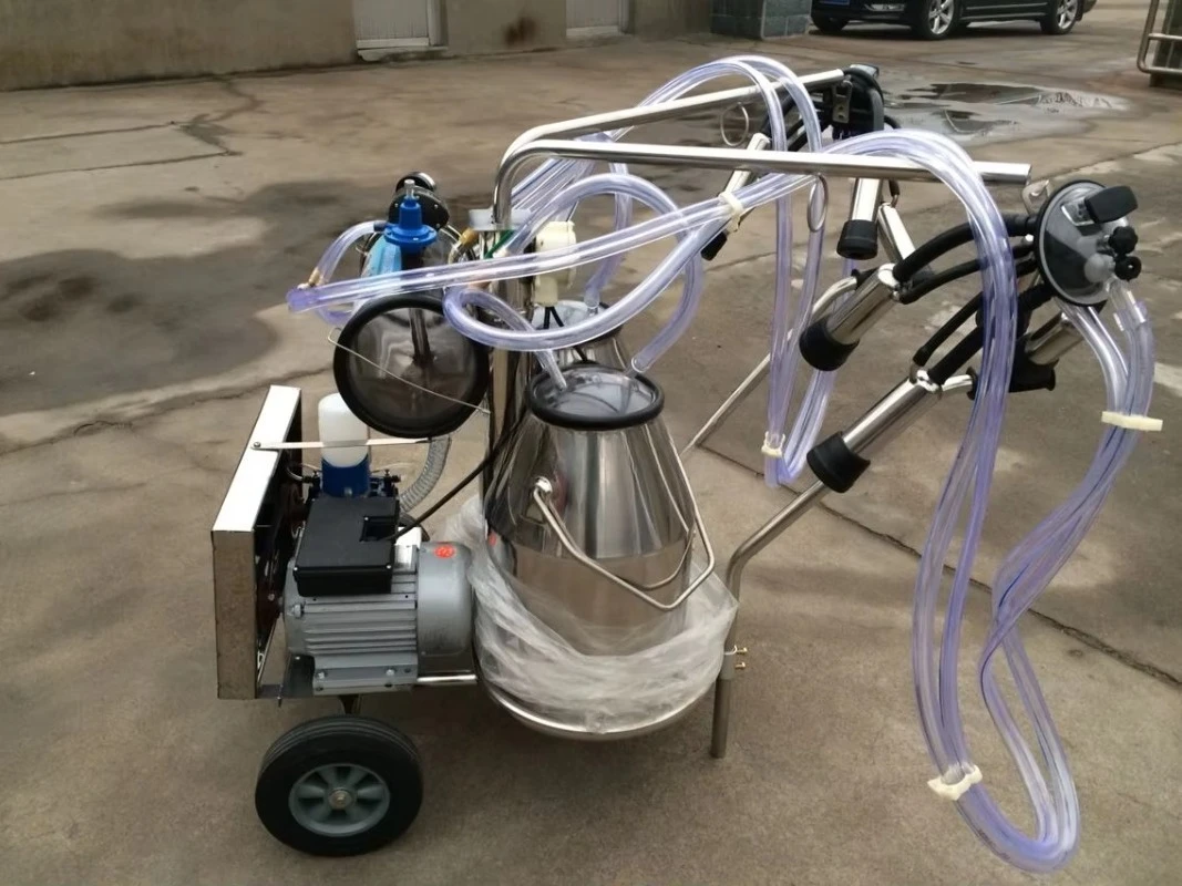 Fotografia 6: Máquina portátil de ordenha de vacas em aço inoxidável na Índia