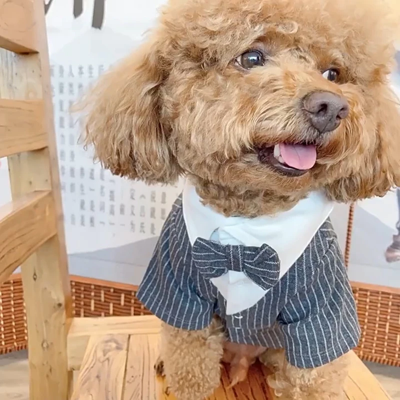 

Pet Suits Gentleman Dog Clothes Wedding Suit with Bowtie Gentleman-Style Cats Dogs Tuxedo Lapel Clothes for Small Dogs