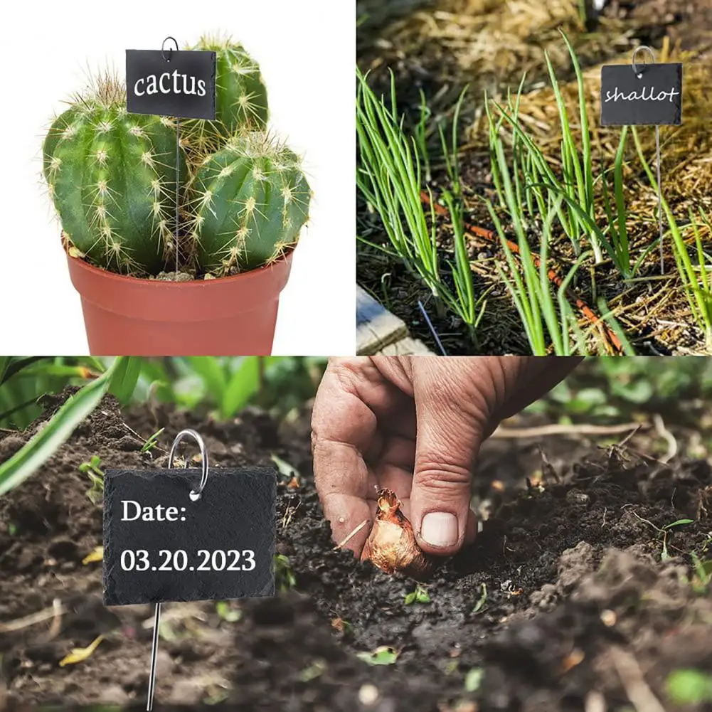 20 Stuks Tuinsteun Staak Ring Metalen Tuinplant Ondersteunt Plant Label Haken Yardplant Bord Haken Opknoping Staven Tuin Aanbod
