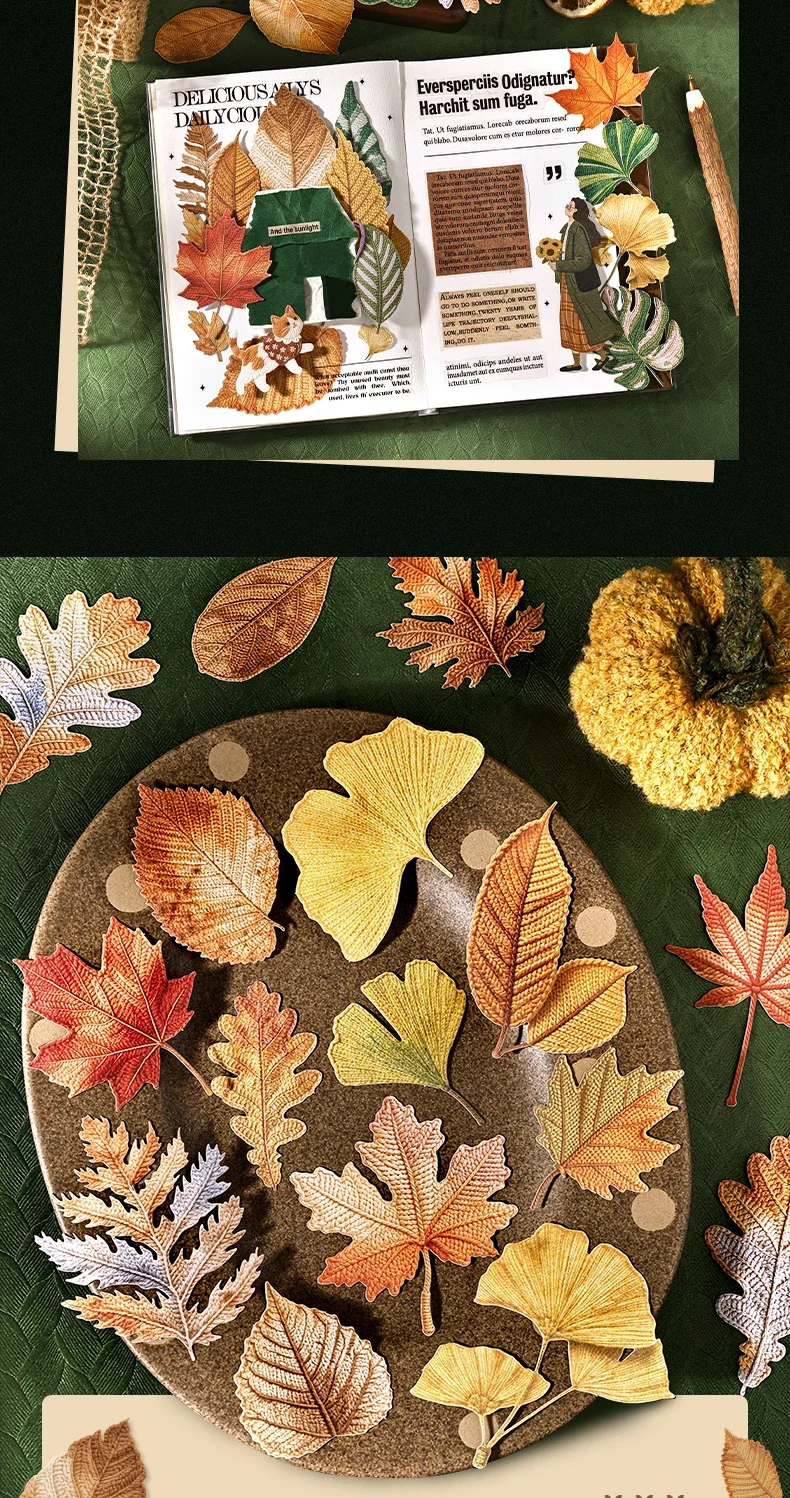 JIANWU Vintage Autumn Leaves Maple Leaf Landscape Material Collage Scrapbooking PET Sticker Creative DIY Journal Stationery