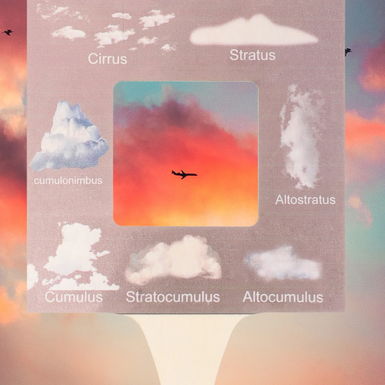 دليل الطبيعة الخشب الطبيعي دليل تحديد السحابة الخارجية مراقبة الطبيعة لعبة أطفال لعبة أطفال #2