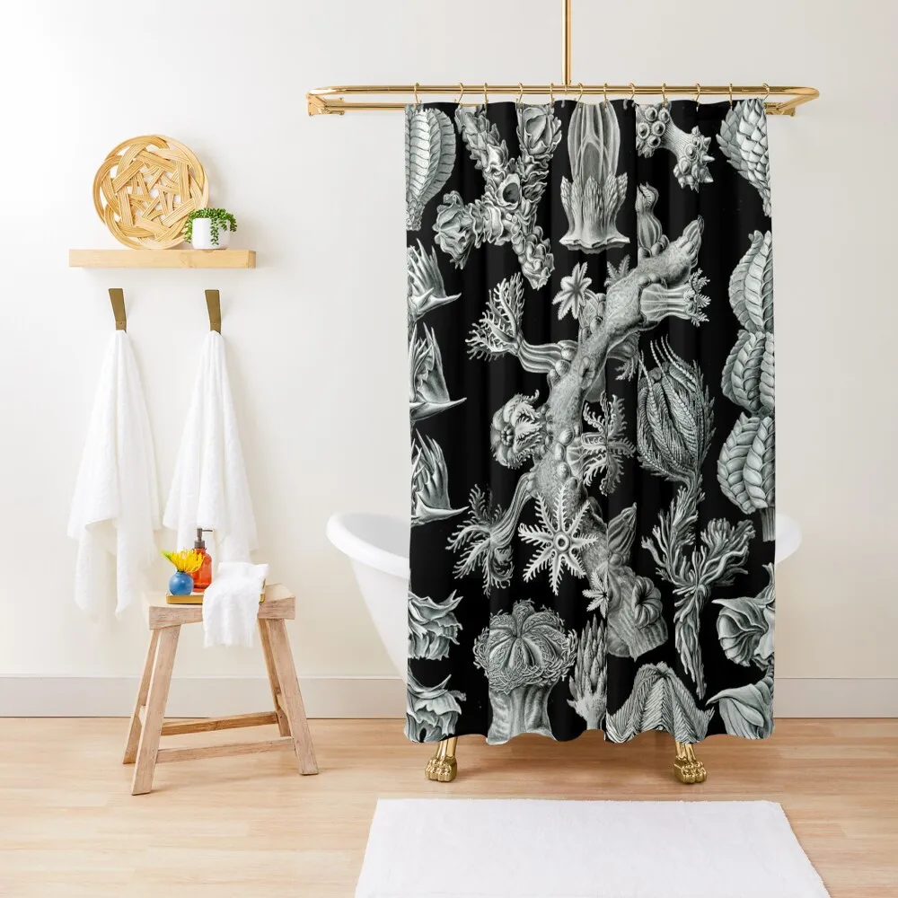 

Haeckel Gorgonida Drawing Shower Curtain For Shower Bathroom Deco Shower For Bathroom Set Curtain