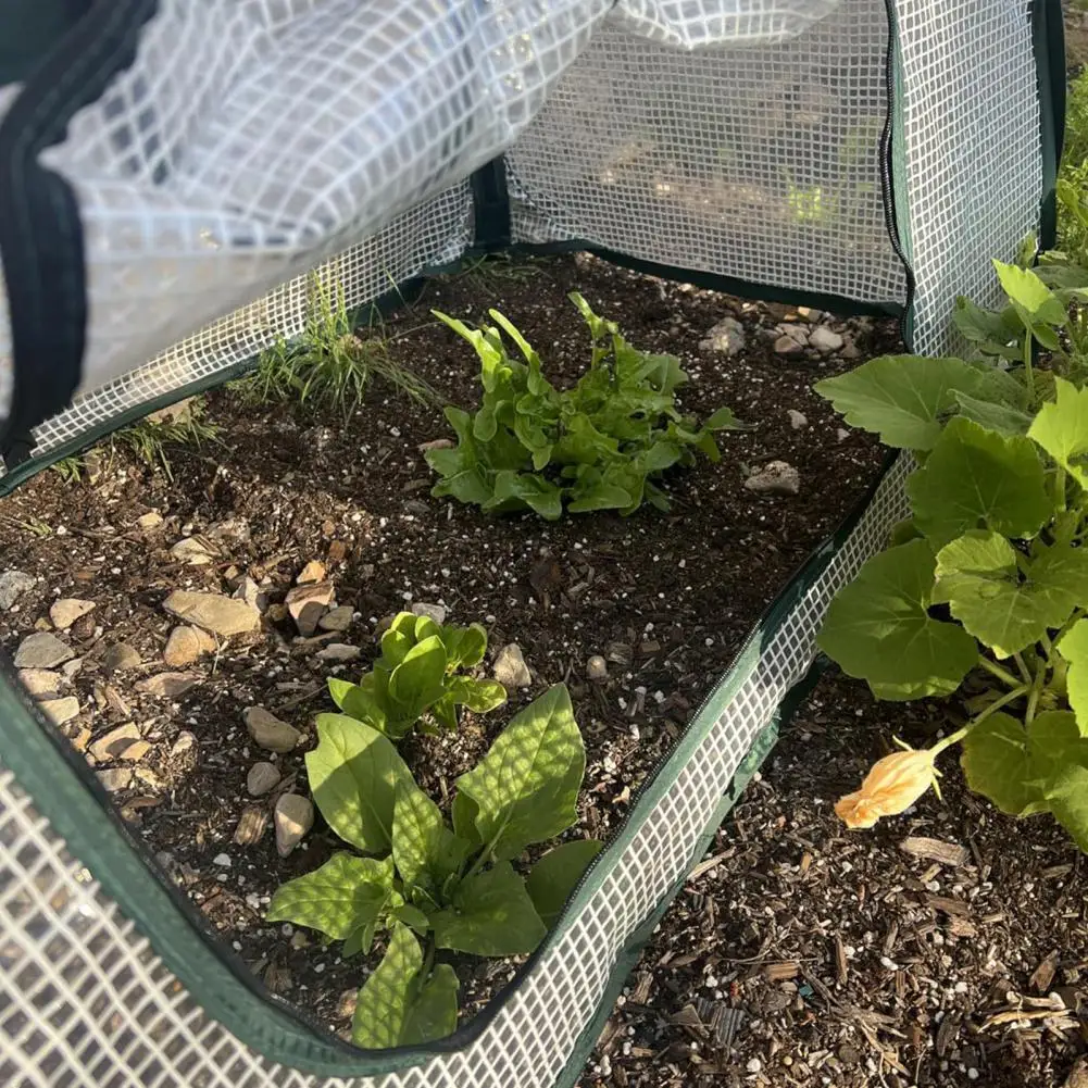 

Защитная клетка для фруктов и овощей, устойчивая к атмосферным воздействиям крышка для растений, всплывающая сетчатая крышка для теплицы для растений, приподнятая для саженцев