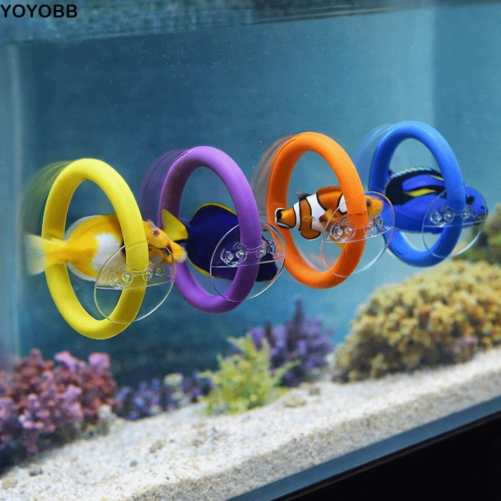 

4PCS/SET Suction Cup Fish Training Ring Colorful Fish Tail Toy Betta Training Circle Waterproof Fish Tank Decorative Ring