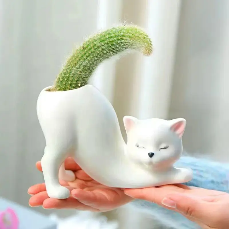 

Белый фарфор, милый кот, цветочный горшок, кактус, растение в горшке, гостиная, столешница, цветочное растение, цветочный горшок, ваза, ремесла, украшение