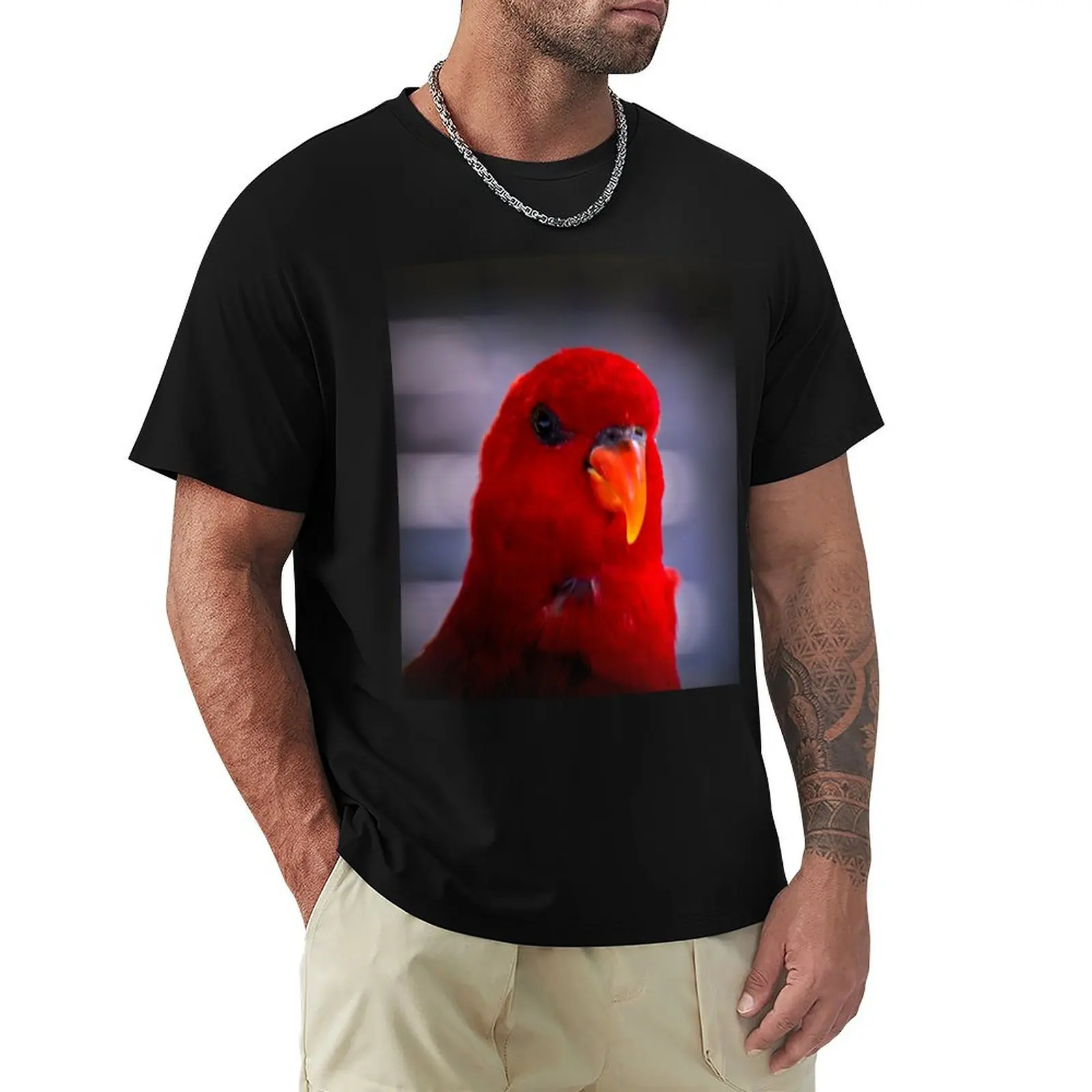 Red lory T-Shirt Basic Simple Casual Short Sleeve Tee